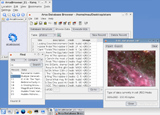Arca Database Browser Linux